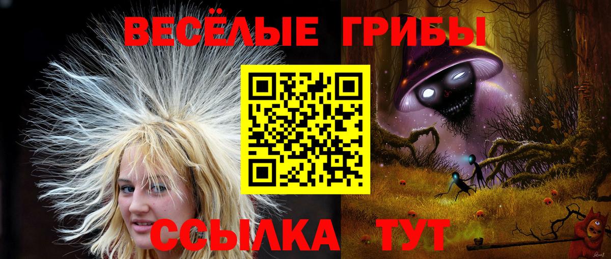 Галлюциногенные грибы Сочи