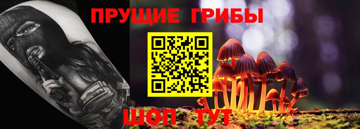 Галлюциногенные грибы Psilocybe Сочи